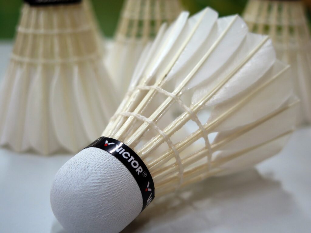 badminton, ball, sports-659910.jpg